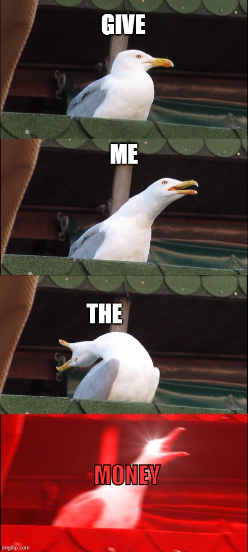 GIVE ME THE MONEY | image tagged in memes,inhaling seagull | made w/ Imgflip meme maker