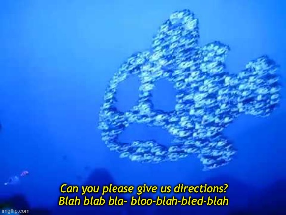 Can you please give us directions? Blah blab bla- bloo-blah-bled-blah | made w/ Imgflip meme maker