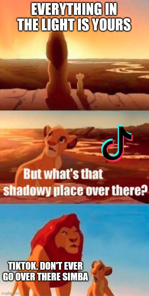 Never go | EVERYTHING IN THE LIGHT IS YOURS; TIKTOK. DON'T EVER GO OVER THERE SIMBA | image tagged in memes,simba shadowy place | made w/ Imgflip meme maker