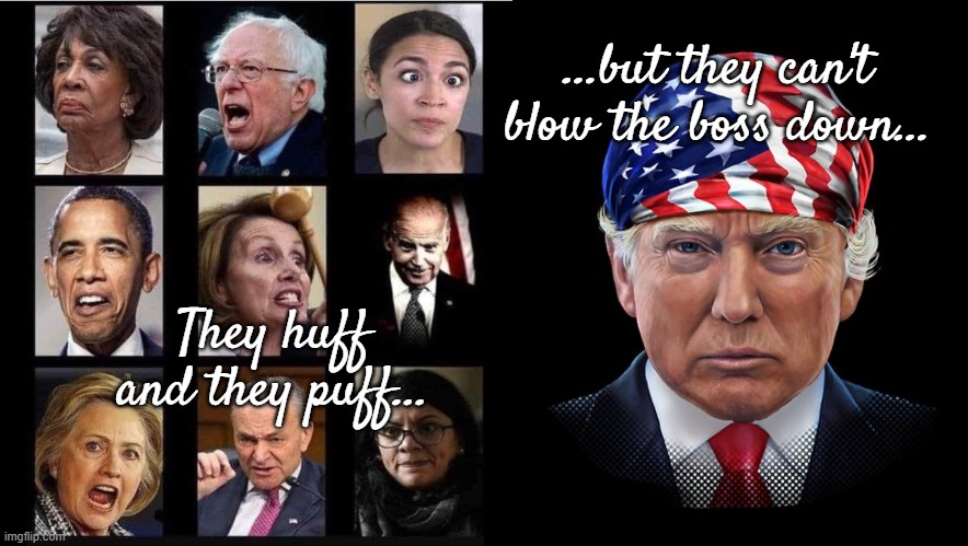 That's right... | ...but they can't blow the boss down... They huff and they puff... | image tagged in idiots,dims,ridiculous,that's right,donald trump | made w/ Imgflip meme maker