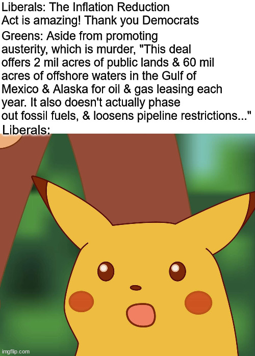 HD pikachu | Liberals: The Inflation Reduction Act is amazing! Thank you Democrats; Greens: Aside from promoting austerity, which is murder, "This deal offers 2 mil acres of public lands & 60 mil acres of offshore waters in the Gulf of Mexico & Alaska for oil & gas leasing each year. It also doesn't actually phase out fossil fuels, & loosens pipeline restrictions..."; Liberals: | image tagged in hd pikachu,green party,democrats,liberals,inflation reduction act | made w/ Imgflip meme maker