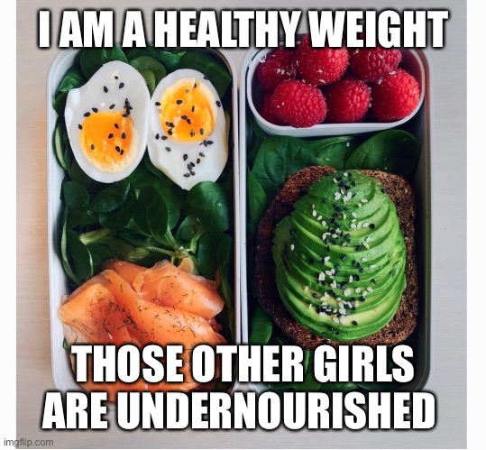 Healthy food | I AM A HEALTHY WEIGHT THOSE OTHER GIRLS ARE UNDERNOURISHED | image tagged in healthy food | made w/ Imgflip meme maker