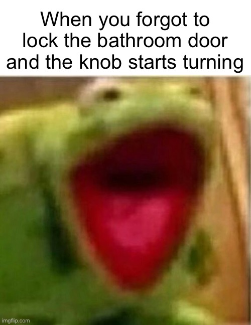 Intruder alert! | When you forgot to lock the bathroom door and the knob starts turning | image tagged in kermit the frog,relatable,funny,oh wow are you actually reading these tags | made w/ Imgflip meme maker