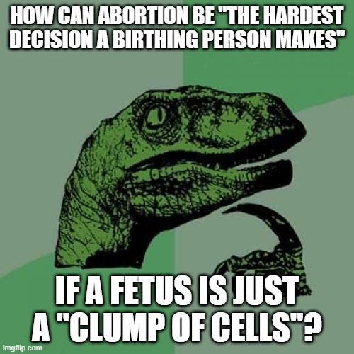 A close second is choosing to shave my armpits | HOW CAN ABORTION BE "THE HARDEST DECISION A BIRTHING PERSON MAKES"; IF A FETUS IS JUST A "CLUMP OF CELLS"? | image tagged in memes,philosoraptor,prolife,abortion,abortion is murder,answer the fool according to his folly | made w/ Imgflip meme maker