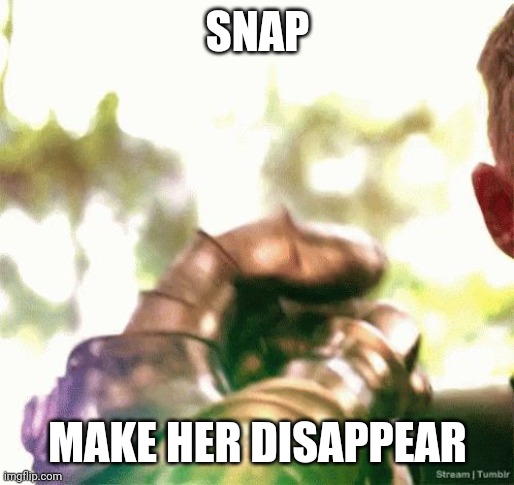 Thanks Snap | SNAP MAKE HER DISAPPEAR | image tagged in thanks snap | made w/ Imgflip meme maker