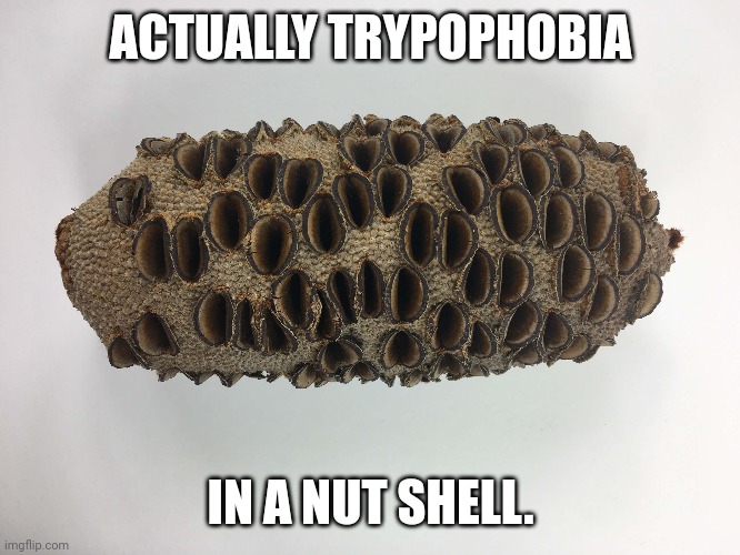 ACTUALLY TRYPOPHOBIA IN A NUT SHELL. | made w/ Imgflip meme maker