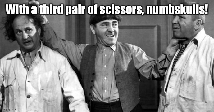 Three Stooges | With a third pair of scissors, numbskulls! | image tagged in three stooges | made w/ Imgflip meme maker