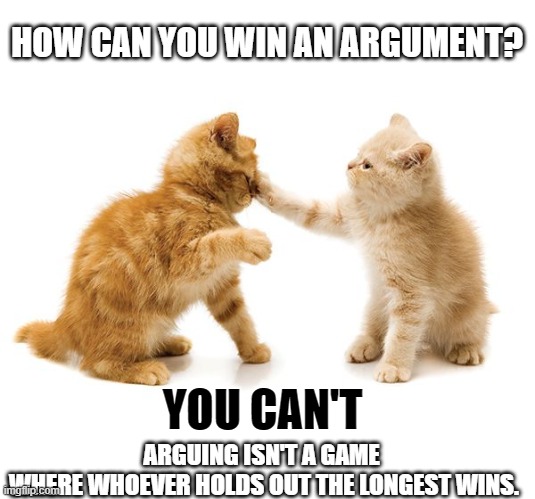 This #lolcat wonders what people get when they 'win' an argument | HOW CAN YOU WIN AN ARGUMENT? YOU CAN'T; ARGUING ISN'T A GAME 
WHERE WHOEVER HOLDS OUT THE LONGEST WINS. | image tagged in lolcat,think about it,argument,arguments,no winner | made w/ Imgflip meme maker