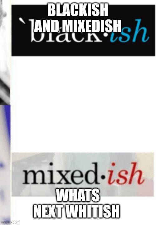 Blackish but where's whitish | BLACKISH AND MIXEDISH; WHATS NEXT WHITISH | image tagged in funny memes | made w/ Imgflip meme maker