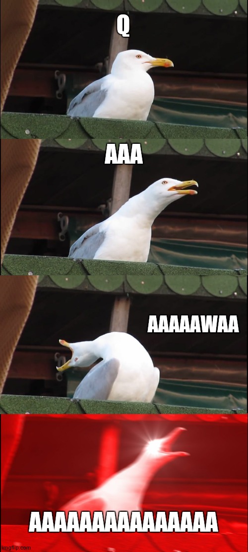 Inhaling Seagull | Q; AAA; AAAAAWAA; AAAAAAAAAAAAAAA | image tagged in memes,inhaling seagull | made w/ Imgflip meme maker