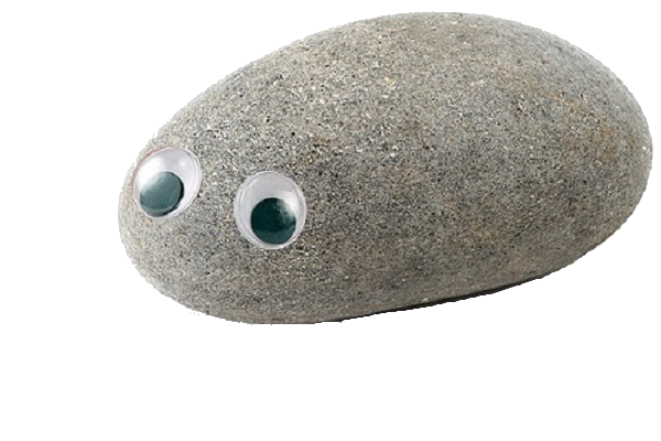 Pet rock Blank Meme Template