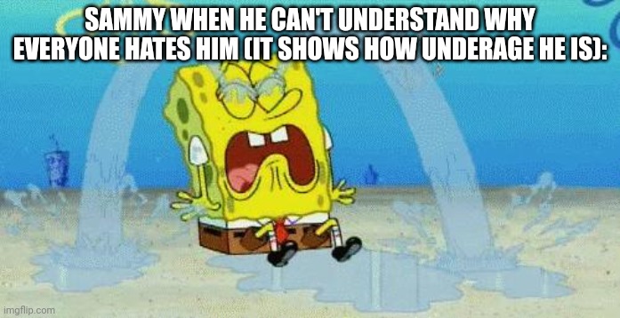 sad crying spongebob | SAMMY WHEN HE CAN'T UNDERSTAND WHY EVERYONE HATES HIM (IT SHOWS HOW UNDERAGE HE IS): | image tagged in sad crying spongebob | made w/ Imgflip meme maker