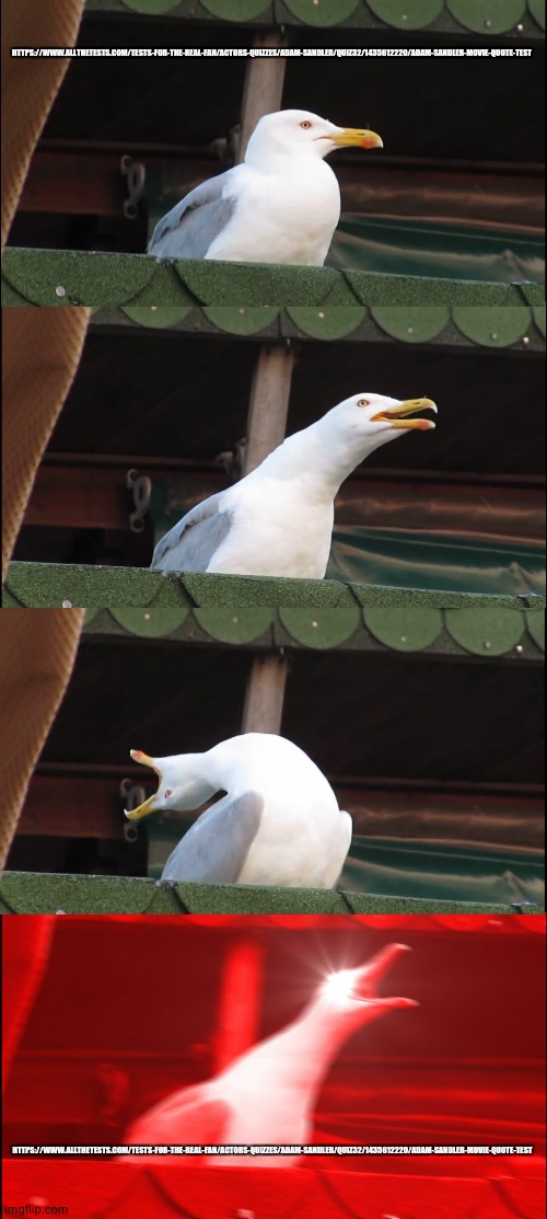 Inhaling Seagull | HTTPS://WWW.ALLTHETESTS.COM/TESTS-FOR-THE-REAL-FAN/ACTORS-QUIZZES/ADAM-SANDLER/QUIZ32/1435612220/ADAM-SANDLER-MOVIE-QUOTE-TEST; HTTPS://WWW.ALLTHETESTS.COM/TESTS-FOR-THE-REAL-FAN/ACTORS-QUIZZES/ADAM-SANDLER/QUIZ32/1435612220/ADAM-SANDLER-MOVIE-QUOTE-TEST | image tagged in memes,inhaling seagull | made w/ Imgflip meme maker
