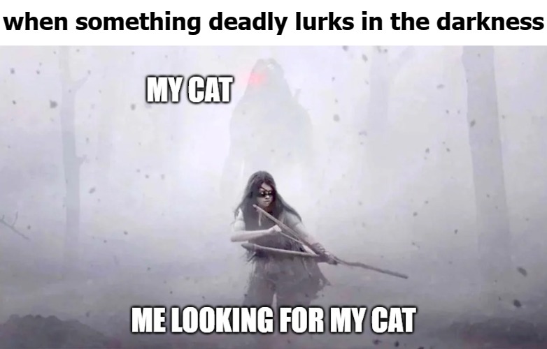 when something deadly lurks in the darkness | image tagged in kitty kat | made w/ Imgflip meme maker