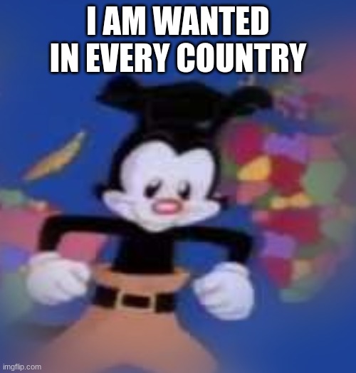 :) | I AM WANTED IN EVERY COUNTRY | image tagged in yakko | made w/ Imgflip meme maker