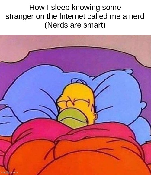 . | How I sleep knowing some stranger on the Internet called me a nerd
(Nerds are smart) | made w/ Imgflip meme maker
