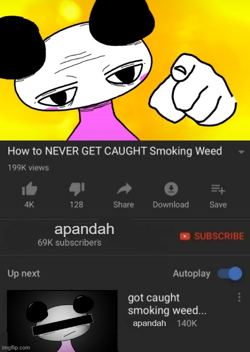 How to NEVER GET CAUGHT Smoking Weed / got caught smoking weed.. | apandah; apandah | image tagged in how to never get caught smoking weed / got caught smoking weed | made w/ Imgflip meme maker