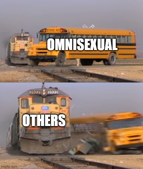 A train hitting a school bus | OMNISEXUAL; OTHERS | image tagged in a train hitting a school bus | made w/ Imgflip meme maker