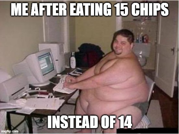 really fat guy on computer | ME AFTER EATING 15 CHIPS; INSTEAD OF 14 | image tagged in really fat guy on computer | made w/ Imgflip meme maker