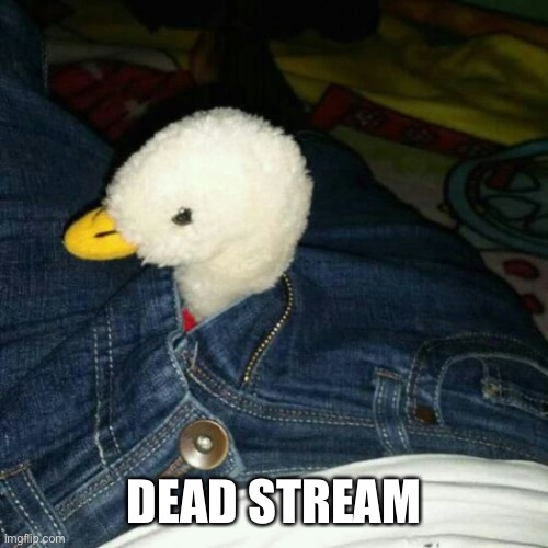 DEAD STREAM | made w/ Imgflip meme maker