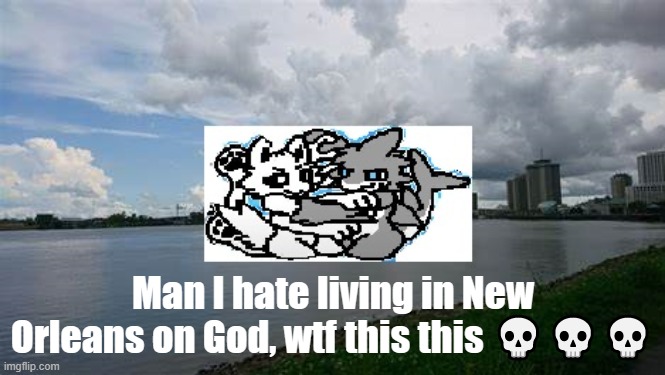 Bro not New Orleans ? | Man I hate living in New Orleans on God, wtf this this 💀💀💀 | image tagged in louisiana,changed,furry,new orleans | made w/ Imgflip meme maker