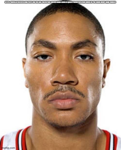 Derrick Rose Straight Face | HTTPS://WWW.ALLTHETESTS.COM/TESTS-FOR-THE-REAL-FAN/ACTORS-QUIZZES/ADAM-SANDLER/QUIZ37/1566027923/HOW-MUCH-DO-YOU-KNOW-ABOUT-ADAM-SANDLER | image tagged in derrick rose straight face | made w/ Imgflip meme maker