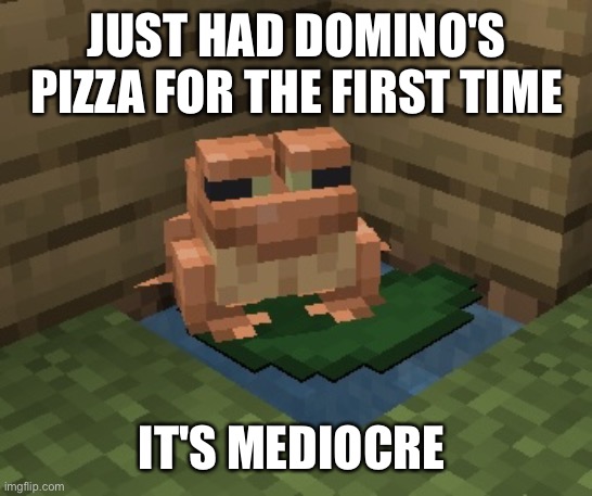 n o r m a n. | JUST HAD DOMINO'S PIZZA FOR THE FIRST TIME; IT'S MEDIOCRE | image tagged in n o r m a n | made w/ Imgflip meme maker