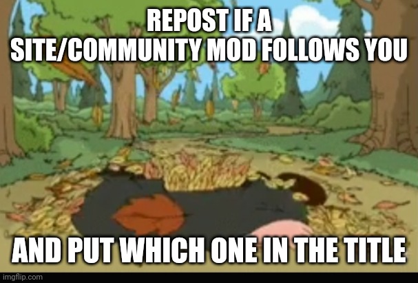 Mine is Kate_The_Grate | REPOST IF A SITE/COMMUNITY MOD FOLLOWS YOU; AND PUT WHICH ONE IN THE TITLE | image tagged in dead girdifrni | made w/ Imgflip meme maker