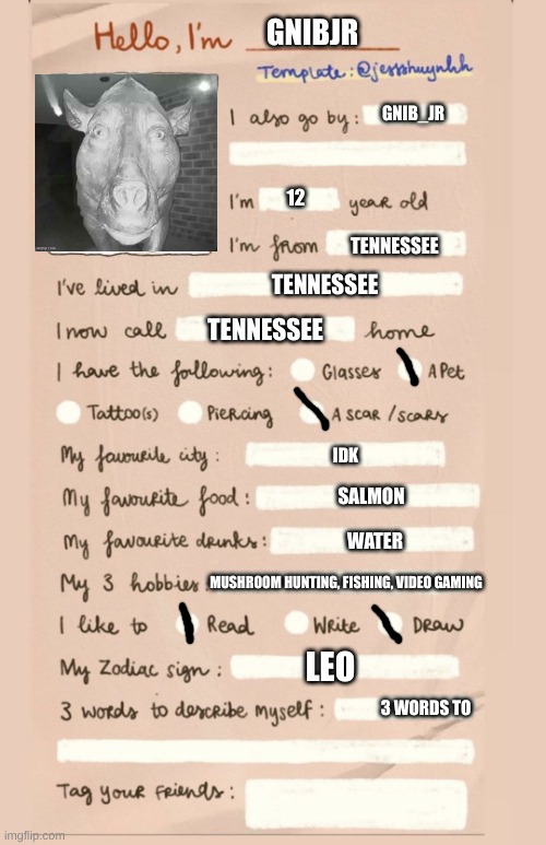 Title | GNIBJR; GNIB_JR; 12; TENNESSEE; TENNESSEE; TENNESSEE; IDK; SALMON; WATER; MUSHROOM HUNTING, FISHING, VIDEO GAMING; LEO; 3 WORDS TO | image tagged in hello i'm___,lgbtq,why are you reading this,oh wow are you actually reading these tags | made w/ Imgflip meme maker