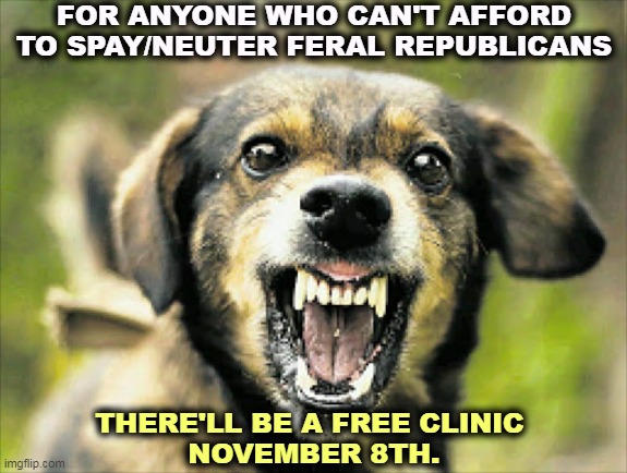 FOR ANYONE WHO CAN'T AFFORD TO SPAY/NEUTER FERAL REPUBLICANS; THERE'LL BE A FREE CLINIC 
NOVEMBER 8TH. | image tagged in mad doge,republicans | made w/ Imgflip meme maker