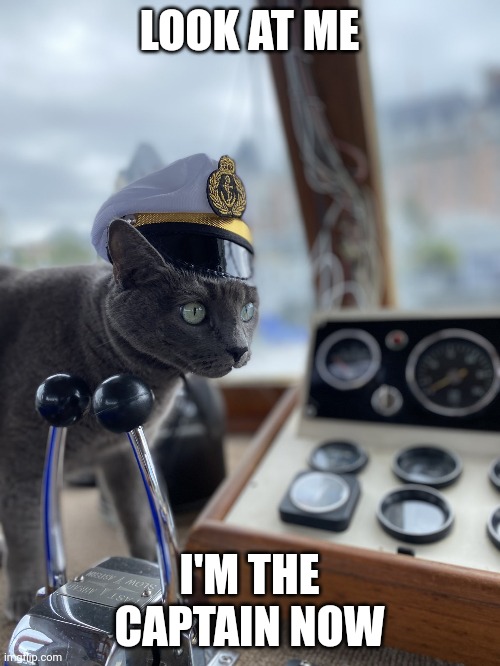 LOOK AT ME; I'M THE CAPTAIN NOW | image tagged in i'm the captain now | made w/ Imgflip meme maker