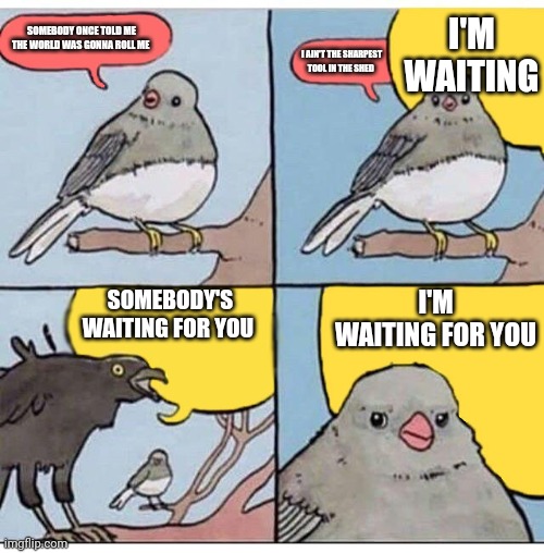 Sara James meme | I'M WAITING; SOMEBODY ONCE TOLD ME THE WORLD WAS GONNA ROLL ME; I AIN'T THE SHARPEST TOOL IN THE SHED; SOMEBODY'S WAITING FOR YOU; I'M WAITING FOR YOU | image tagged in annoyed bird,memes,eurovision,poland,sara egwu-james | made w/ Imgflip meme maker