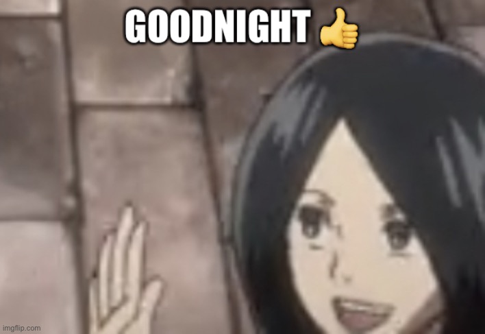 goodnien | image tagged in goodnien | made w/ Imgflip meme maker