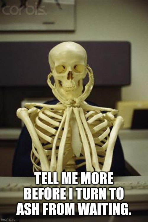 Waiting Skeleton | TELL ME MORE BEFORE I TURN TO ASH FROM WAITING. | image tagged in waiting skeleton | made w/ Imgflip meme maker