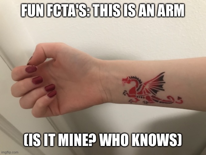 FUN FCTA'S: THIS IS AN ARM; (IS IT MINE? WHO KNOWS) | made w/ Imgflip meme maker