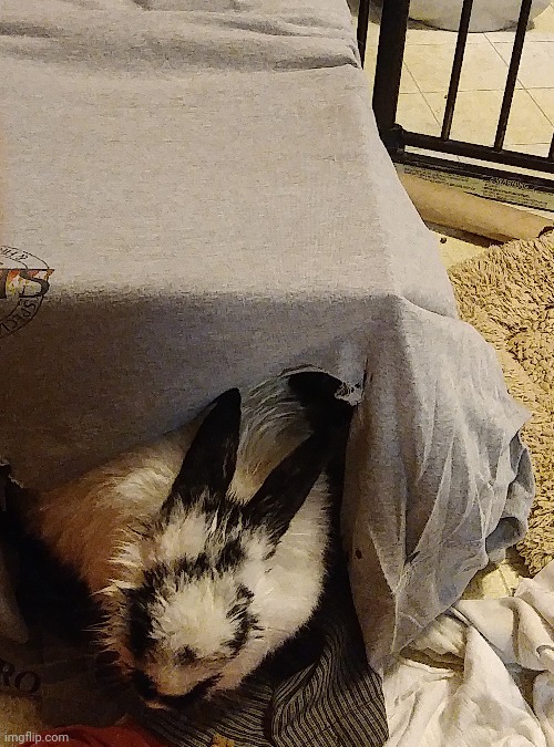 she tried to drown herself or smth idk my sister likes to exaggerate | made w/ Imgflip meme maker