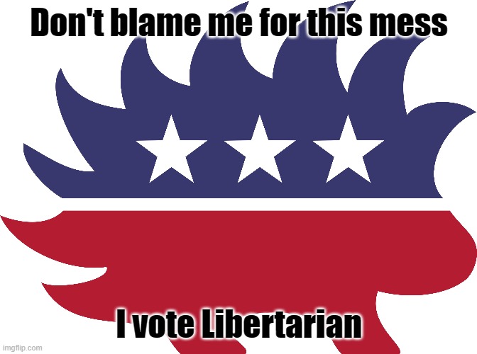Libertarian | Don't blame me for this mess; I vote Libertarian | image tagged in libertarian | made w/ Imgflip meme maker
