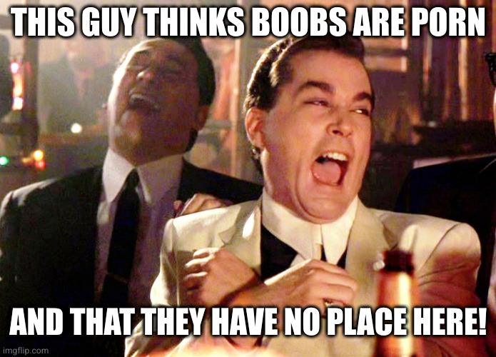 Good Fellas Hilarious Meme | THIS GUY THINKS BOOBS ARE PORN AND THAT THEY HAVE NO PLACE HERE! | image tagged in memes,good fellas hilarious | made w/ Imgflip meme maker