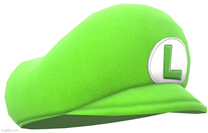 Luigi Hat | image tagged in luigi hat | made w/ Imgflip meme maker