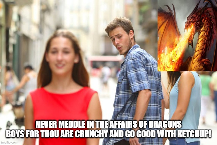NEVER MEDDLE IN THE AFFAIRS OF DRAGONS BOYS FOR THOU ARE CRUNCHY AND GO GOOD WITH KETCHUP! | made w/ Imgflip meme maker