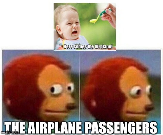Wait what | THE AIRPLANE PASSENGERS | image tagged in monkey puppet | made w/ Imgflip meme maker