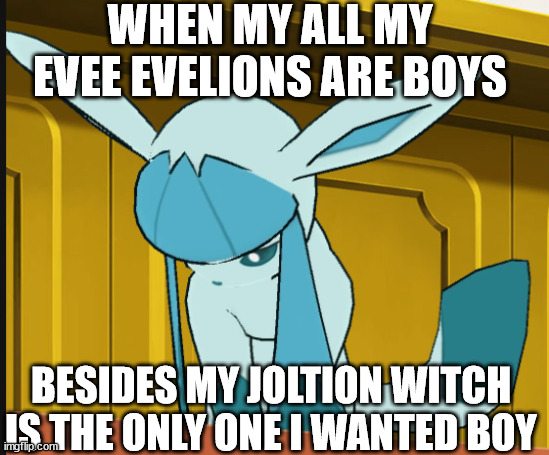 sad glaceon | WHEN MY ALL MY EVEE EVELIONS ARE BOYS; BESIDES MY JOLTION WITCH IS THE ONLY ONE I WANTED BOY | image tagged in sad glaceon,pokemon go | made w/ Imgflip meme maker