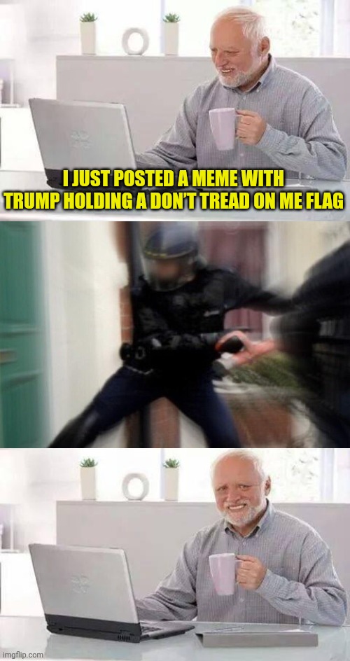 My new template hide the pain Harold fbi edition | I JUST POSTED A MEME WITH TRUMP HOLDING A DON’T TREAD ON ME FLAG | image tagged in hide the pain harold fbi edition,hide the pain harold,fbi | made w/ Imgflip meme maker