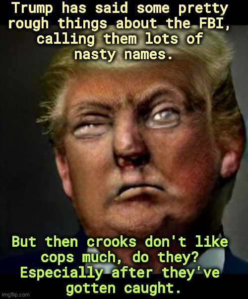 He doesn't like the DOJ either. They caught him, too. | Trump has said some pretty 
rough things about the FBI, 
calling them lots of 
nasty names. But then crooks don't like 
cops much, do they? 
Especially after they've 
gotten caught. | image tagged in trump,hate,fbi,criminals,cops | made w/ Imgflip meme maker