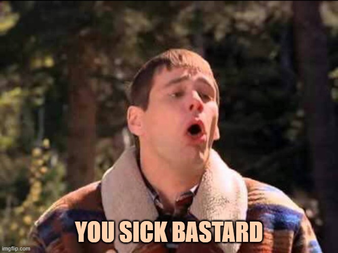 sick | YOU SICK BASTARD | image tagged in sick | made w/ Imgflip meme maker