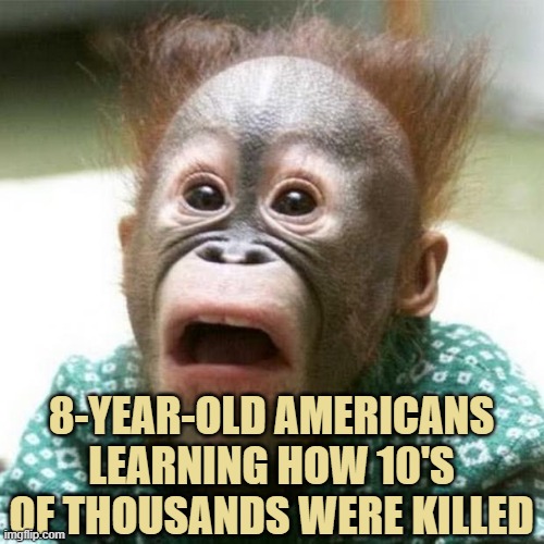 Shocked Monkey | 8-YEAR-OLD AMERICANS LEARNING HOW 10'S OF THOUSANDS WERE KILLED | image tagged in shocked monkey | made w/ Imgflip meme maker