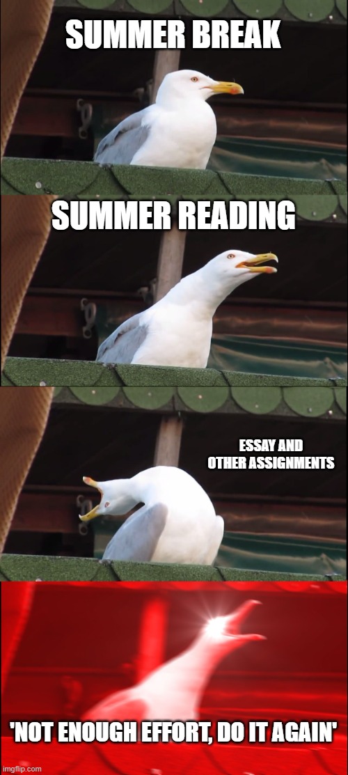 Inhaling Seagull | SUMMER BREAK; SUMMER READING; ESSAY AND OTHER ASSIGNMENTS; 'NOT ENOUGH EFFORT, DO IT AGAIN' | image tagged in memes,inhaling seagull | made w/ Imgflip meme maker