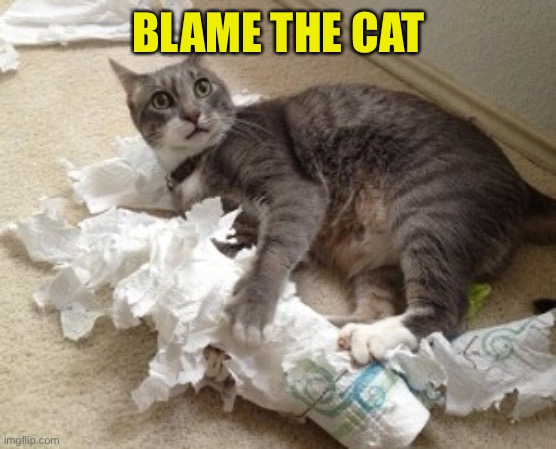 cat toilet paper | BLAME THE CAT | image tagged in cat toilet paper | made w/ Imgflip meme maker