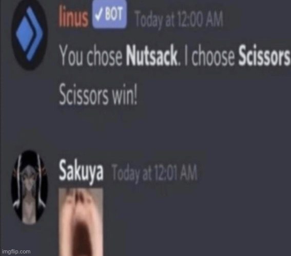 made w/ Imgflip meme maker