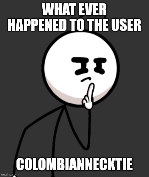 Henry S Thinking | WHAT EVER HAPPENED TO THE USER; COLOMBIANNECKTIE | image tagged in henry s thinking | made w/ Imgflip meme maker